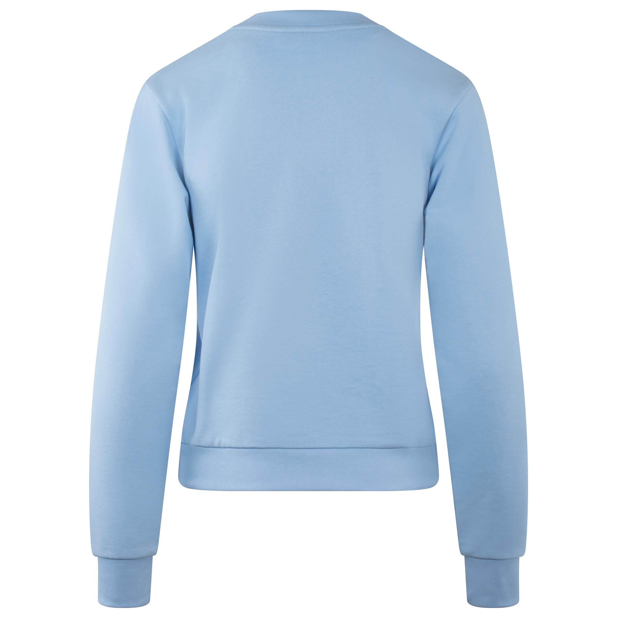 Pale blue ladies sweatshirt sale