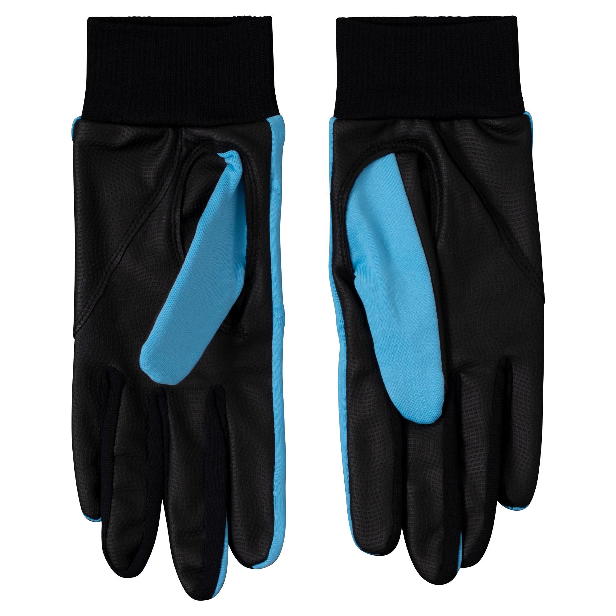 Daily Sports Ella Ladies Winter Golf Gloves Blue